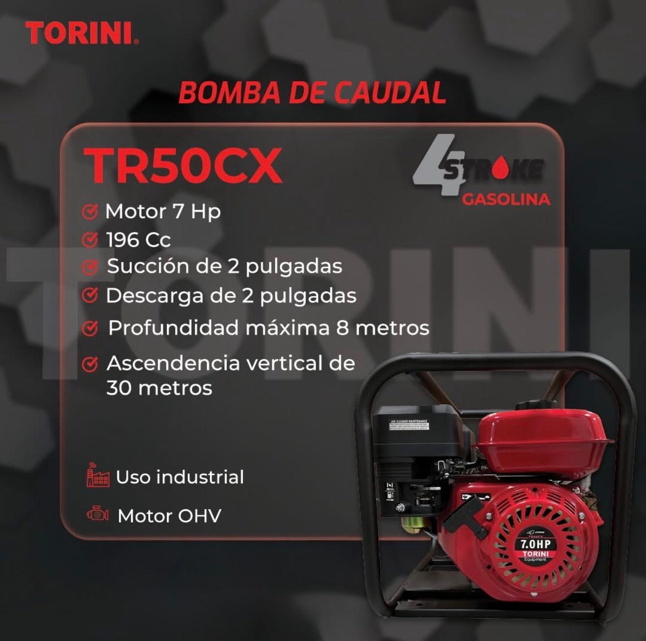 Bomba de caudal
